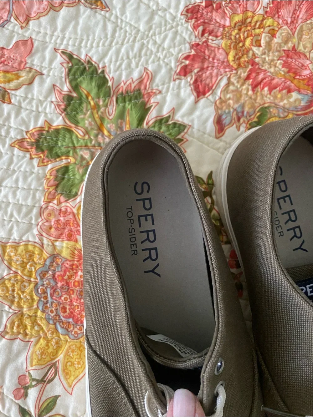 Sperry casual canvas